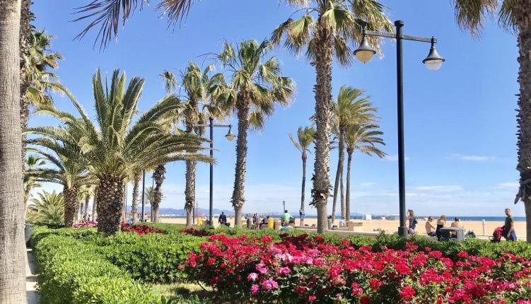 Apartamento Turistico Lux Center Valencia Eksteriør bilde
